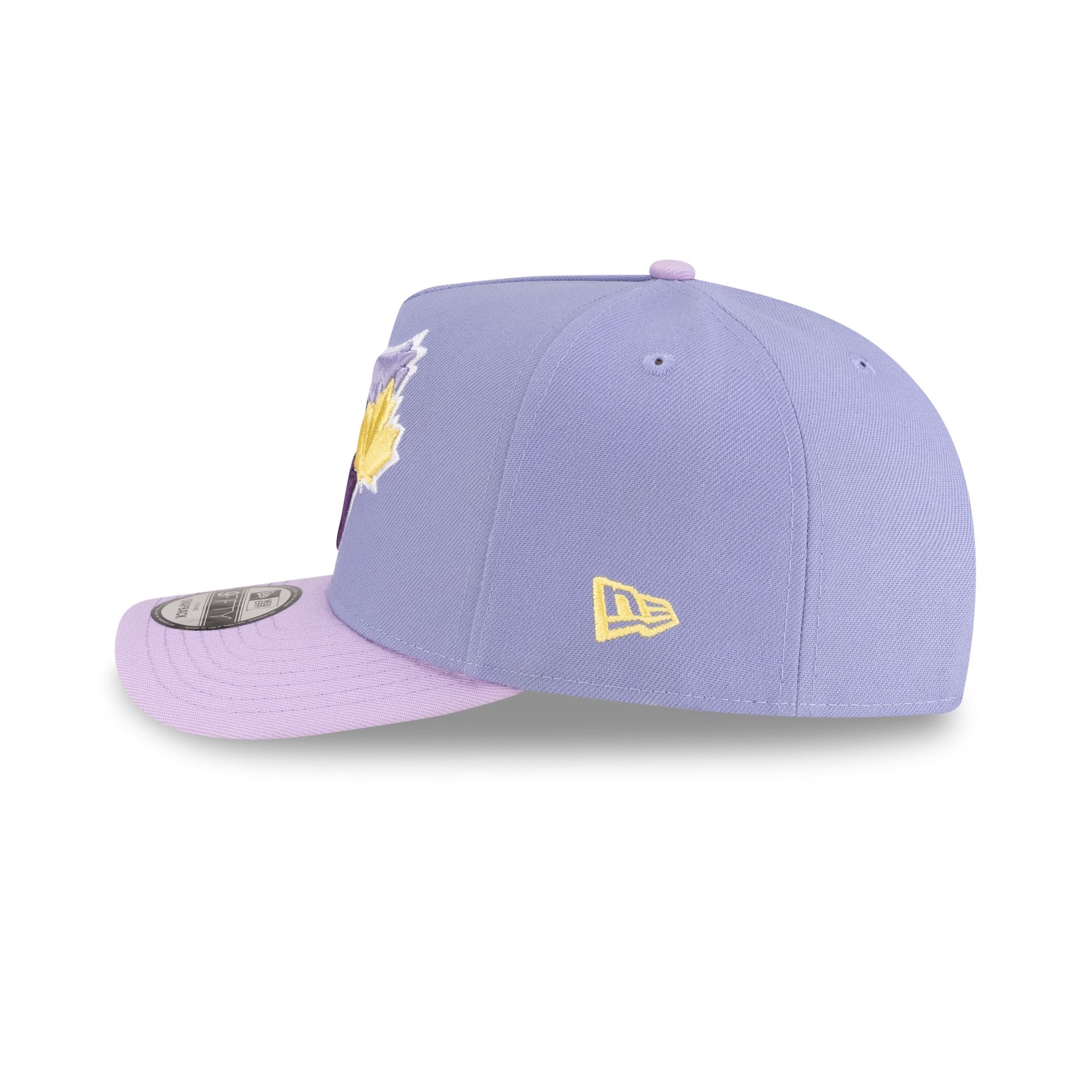 Toronto Blue Jays Lavender 9FIFTY A-Frame Snapback Hat