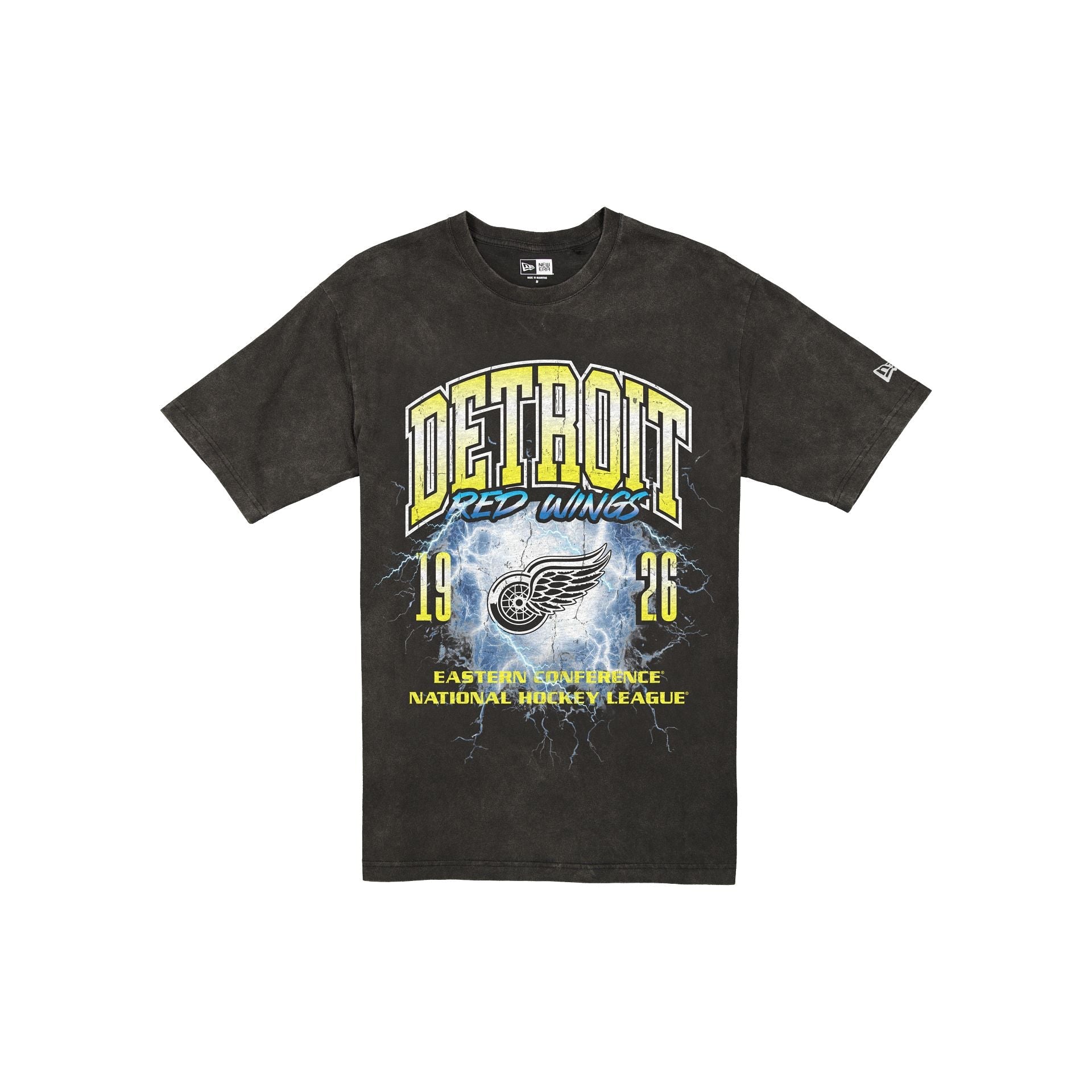 Detroit Red Wings Lifestyle Graphics Storm Black T-Shirt